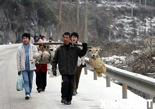 �ؑc����ꖿh�Ĵ����ڸ��w���eѩ�Ĺ�·�����ߣ�1��26�Քz����