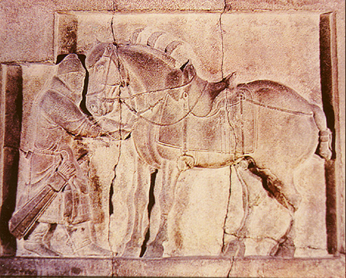 �������E