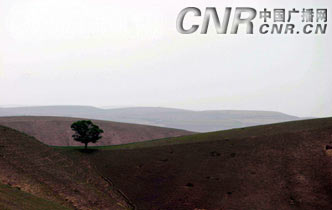 C:\Documents and Settings\Administrator\����\�ЏV���\��ԭɽ�^(q��)-��ؐ.jpg