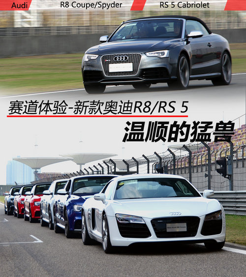 ���˵Ĳ�ֻ������ ِ���w��¿�W��R8