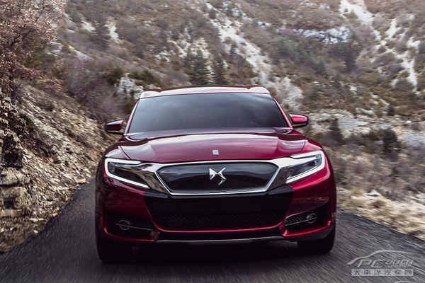 DS Wild Rubis����܇(ch��)