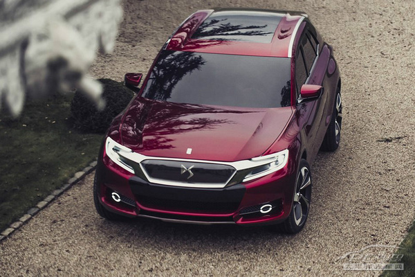 DS Wild Rubis����܇(ch��)
