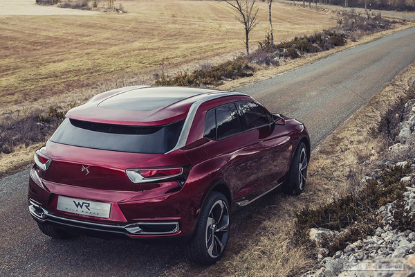 DS Wild Rubis����܇(ch��)