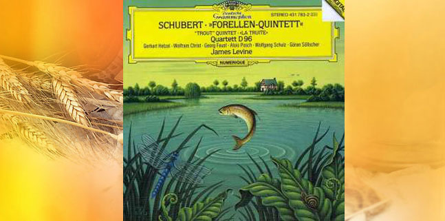 �V�~�����ࡤ�沮��