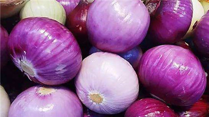 timg (1)_����.jpg