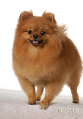 �����L�y�Ɯy��?sh��)����g���ʴ_