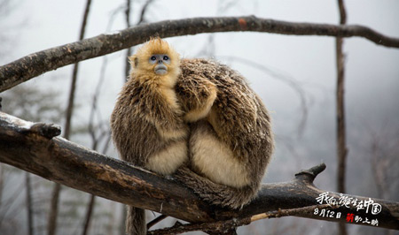 ׌�������������Ӱ�Ј�(ch��ng)