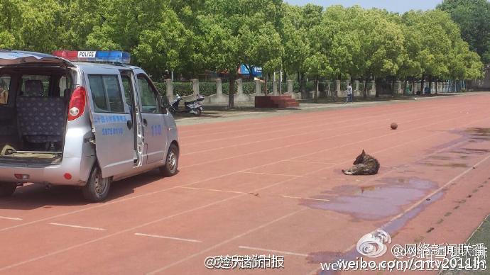 �W(w��ng)����h��У�����뉺���˹� �_܇��4��