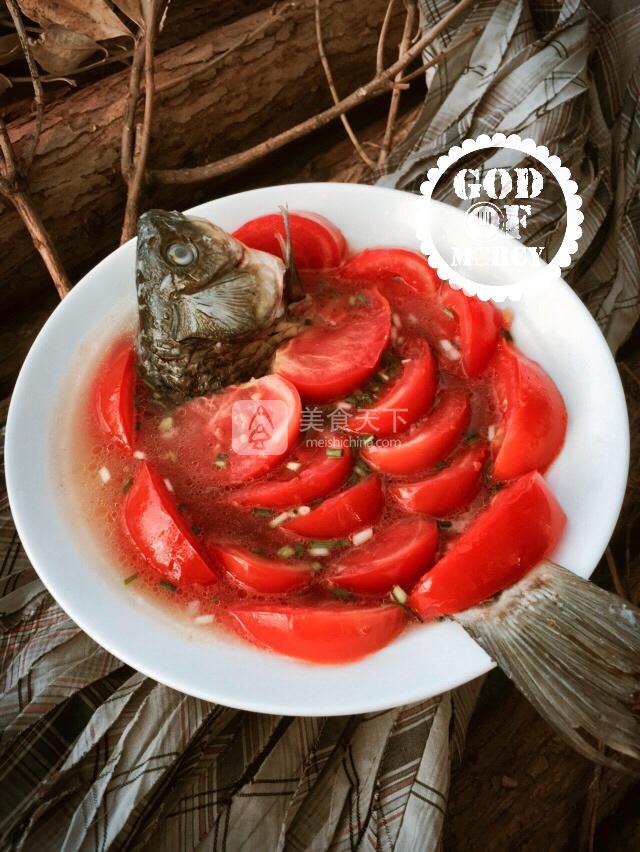 ����(zh��n)ζ�٘O�ޣ��B(y��ng)����a�~�������ԳԷ�������