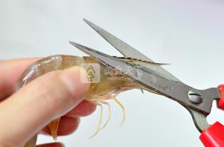 �����r���������E��1