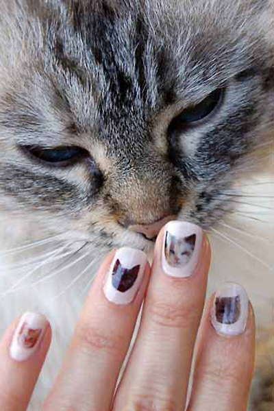 �ȵ��Ķ����� ���������������״��݋