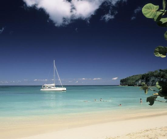 �P�c(di��n)����(gu��)����������� ʢ��������̎��