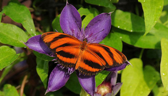 ���M(j��n)ȫ��13�󻨈@ �������þ�(�D)