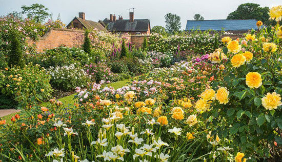 ���M(j��n)ȫ��13�󻨈@ �������þ�(�D)