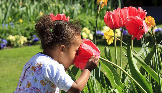 ���M(j��n)ȫ��13�󻨈@ �������þ�(�D)