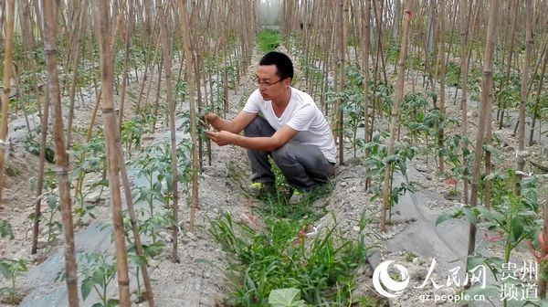 ����ͤ:��(sh��)�F(xi��n)�Ĳ�ʿ�����g���A���D(zhu��n)��