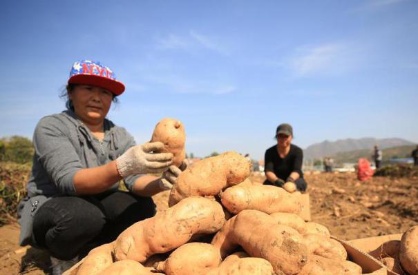 #����(j��ng)������1���ӱ��w����ɽ�ؼt�����r(n��ng)����