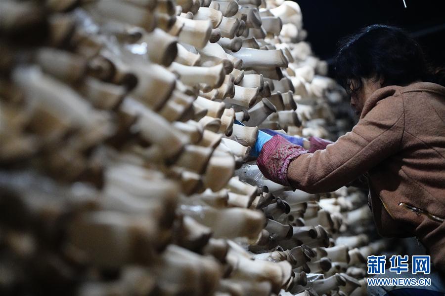 ����(j��ng)��(j��)����1���ӱ�ƽȪ��СĢ��䁾��¸�·