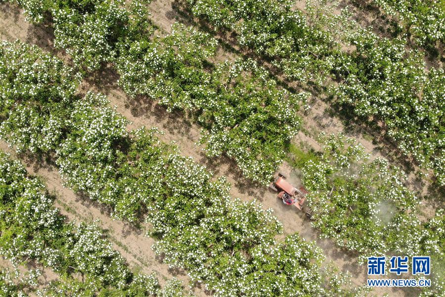 ����(j��ng)��(j��)����1���ӱ���ӣ�ɽ髻��_�r(n��ng)��æ