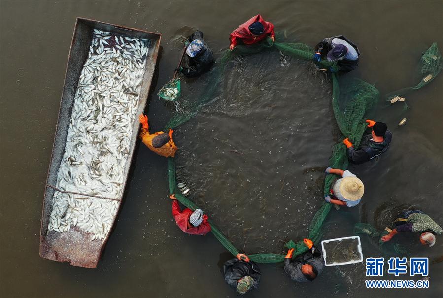 ���������1�������з���r�r�~��r