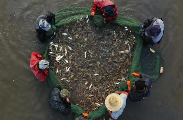 �����(hu��)����2�������з���r�r�~��r(sh��)