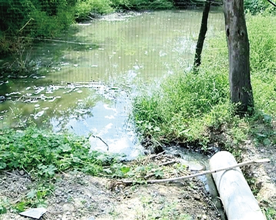 �B(y��ng)ֳ��(ch��ng)��Ⱦ���ˮ����M�����˾�@�z��Ժ��ͦ