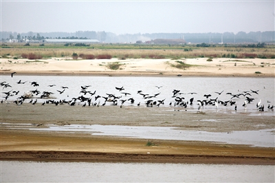 �S�ӝ�غ��B���w �u����Ո���_