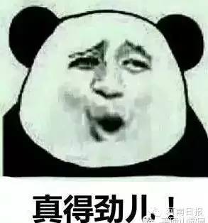 �����������ڃ�!�@Щ�����l��ȫ��?���y�y