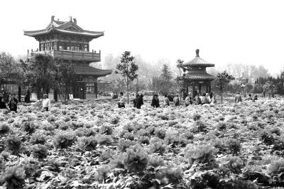 �Ŷ�����x���H�Ļ����������ж��h(yu��n)?