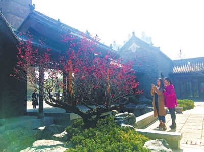 �ϳǓQ��� ���(y��ng)�ķ������z�Ļ��a(ch��n)�I(y��)�@��������