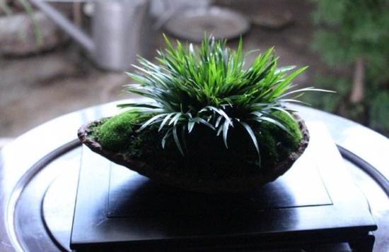 ��D���ԾW(w��ng)�j(lu��)