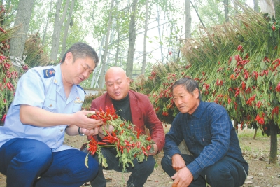 ̫���h:��ɫ�Nֲ����ؚ�����¸�