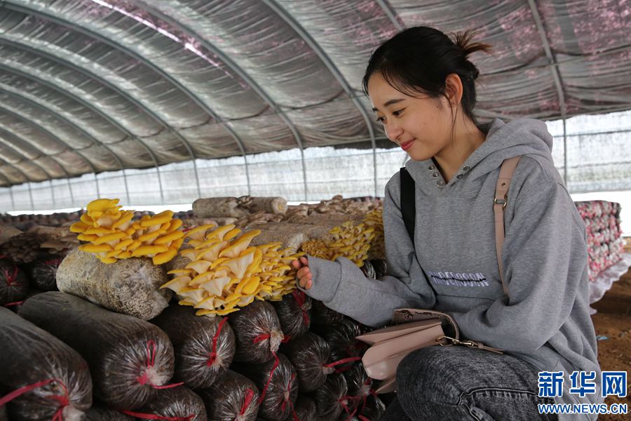 ��ɽ:���њ�֦��Ģ�� ���B(t��i)ѭ�h(hu��n)��Óؚ