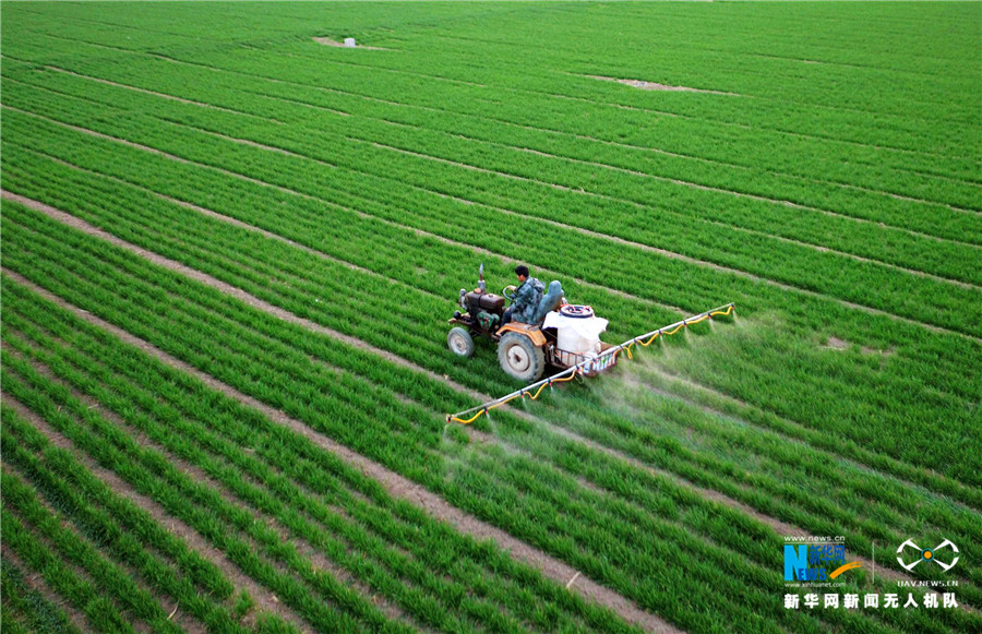 ���ģ������ϼZ�}�����h�ߘ�(bi��o)��(zh��n)�Z��ʾ���^(q��)