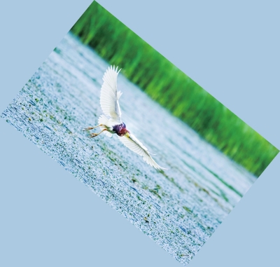 ���϶�����ع��@���B����� Ո���@Щ�ط�����