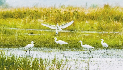 ���϶�����ع��@���B����� Ո���@Щ�ط�����