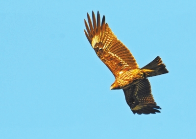 ���϶�����ع��@���B����� Ո���@Щ�ط�����