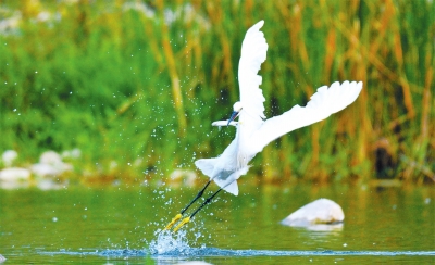 ���϶�����ع��@���B����� Ո���@Щ�ط�����