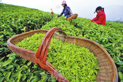 ��Ӿ������b�e���ë�����c��