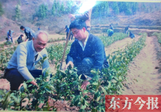 �S��(zh��)��(y��u)�����ͬ���ڲ�ɽ