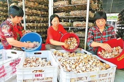 ���ƵZ�^�M�����꡿��ꖿh����f�ġ����Ҍ���