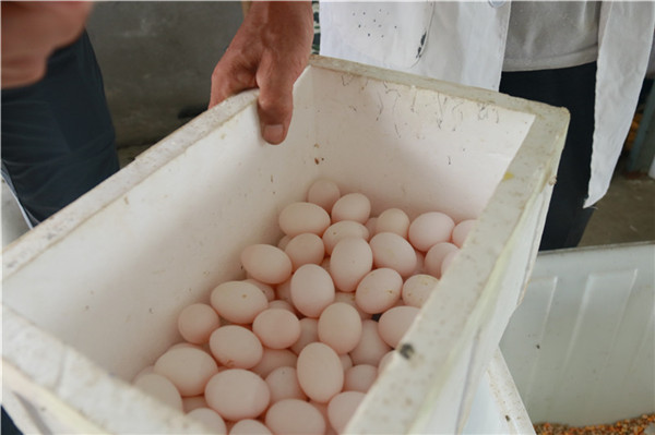 �ᭇ��͸�����ӵ�����ö���u5Ԫ����V�W(w��ng) ����A �z��.JPG