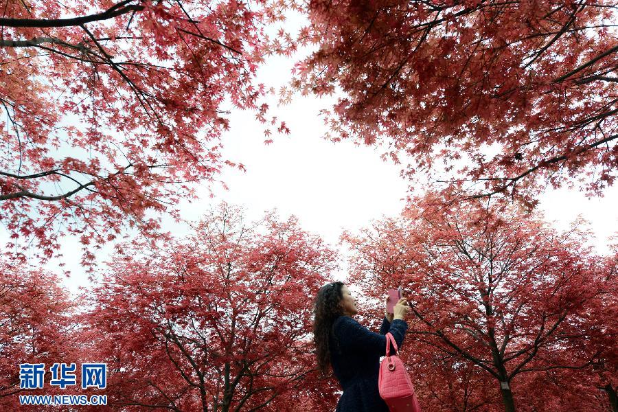 #�����(b��o)����3���ؑc���Mɽ�t�~�Ʋ�ϼ