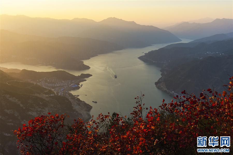 #(���B(t��i))(1)���{�t�~���箋