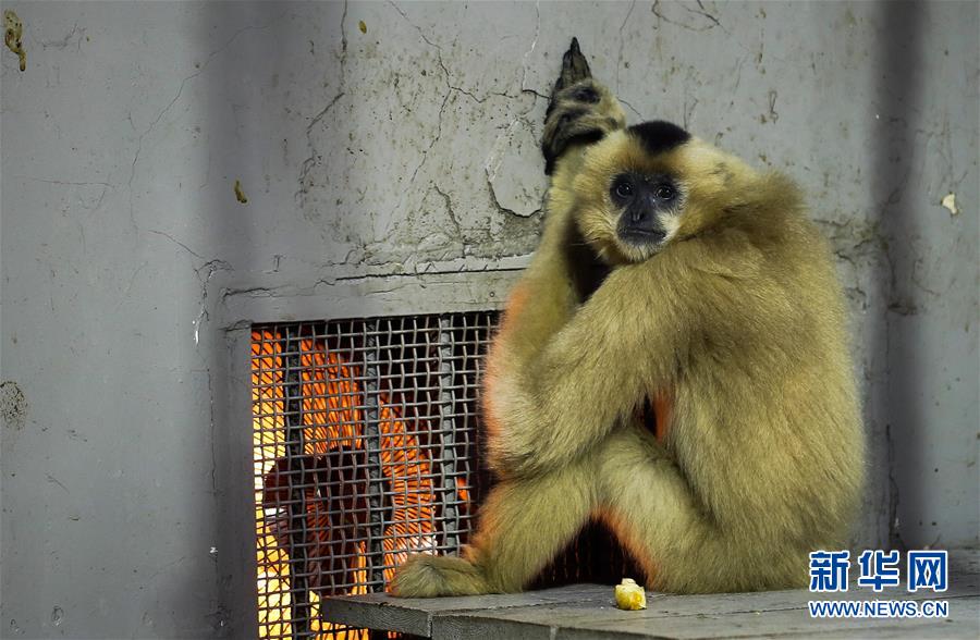 (���(b��o))(1)�������u �ɶ�����@С����ȡů�^��