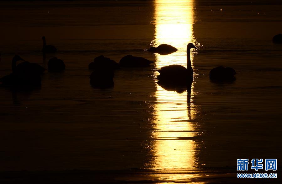 (���B(t��i))(3)����ʥ�����`��