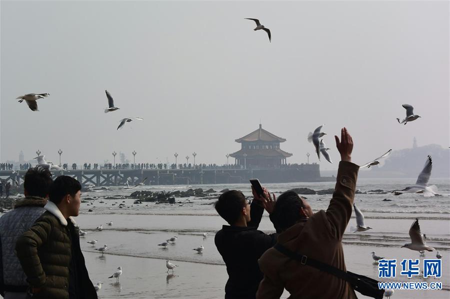 (���(b��o))(3)���u���I�p���t