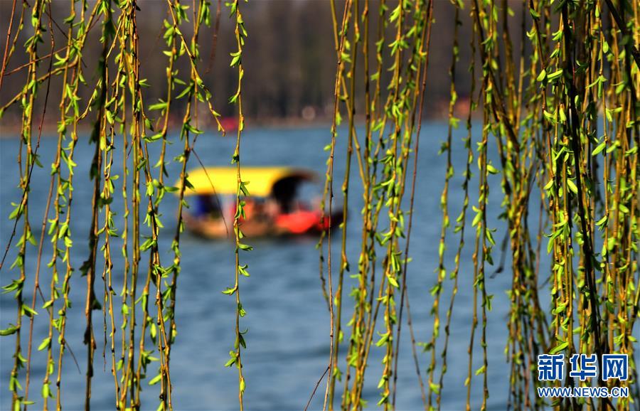 (���)(1)���������^