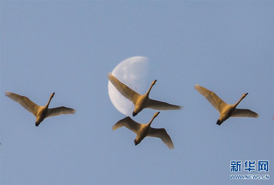 #(ҕ���X)(1)��ӳ���Z�w