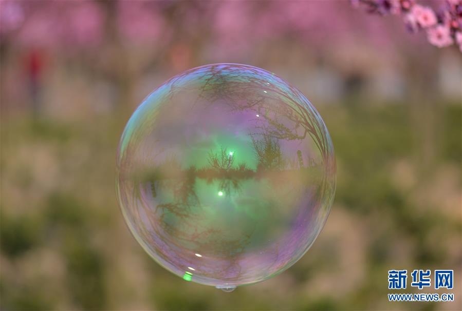 #(ҕ���X)(2)������Ĵ�ɫ